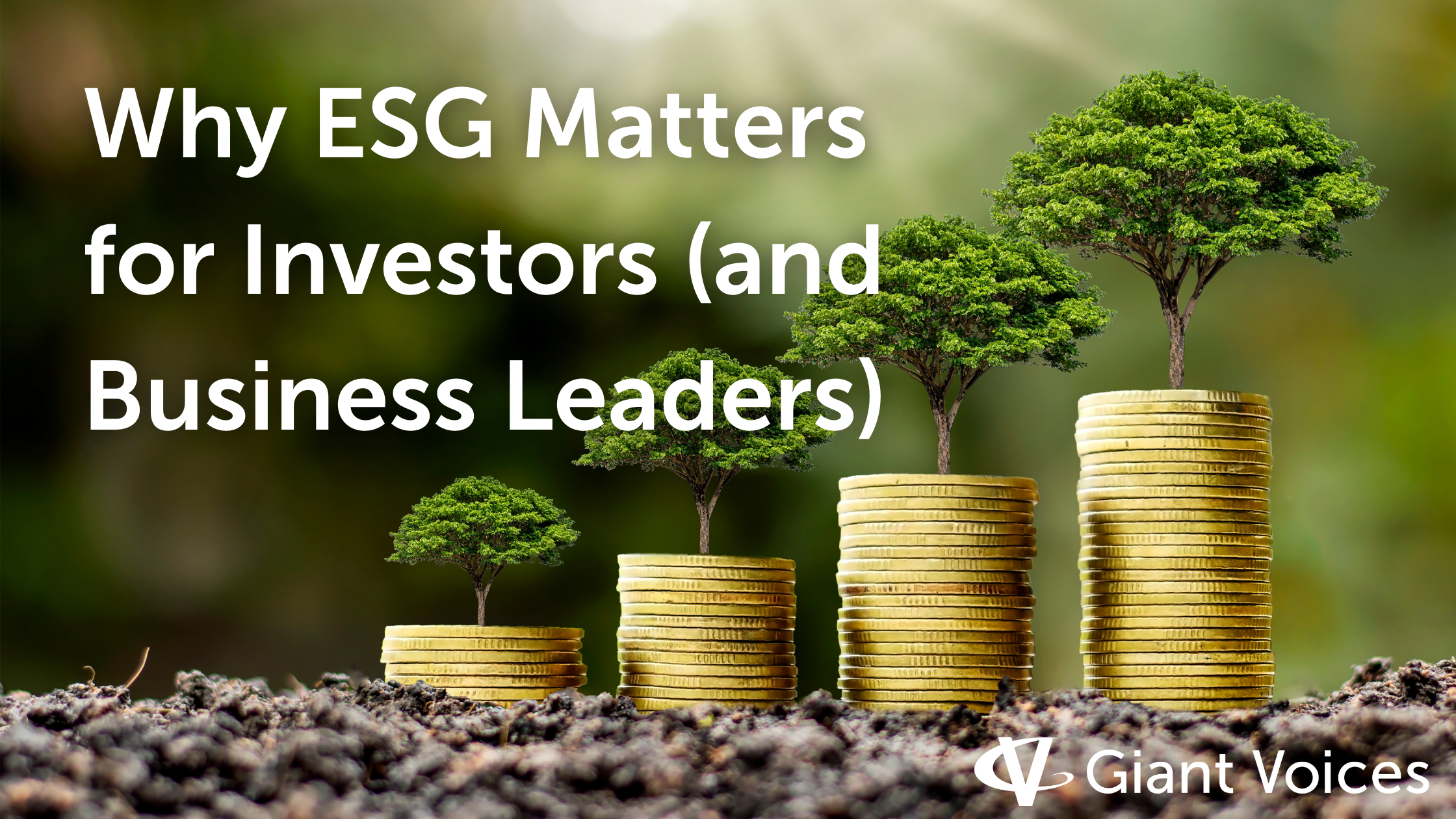 Why ESG Matters for Investors (and Business Leaders) | Giant Voices Blog